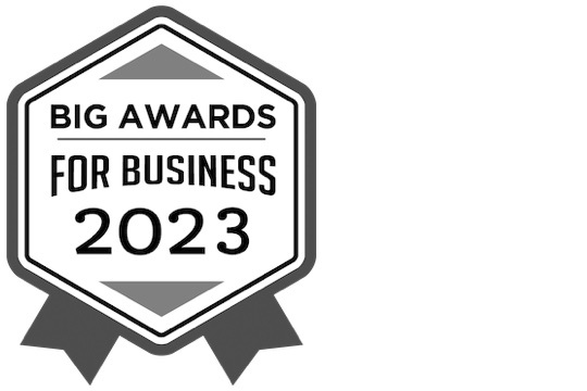 BIG Awards for Business Winner for New Product of the Year Logo