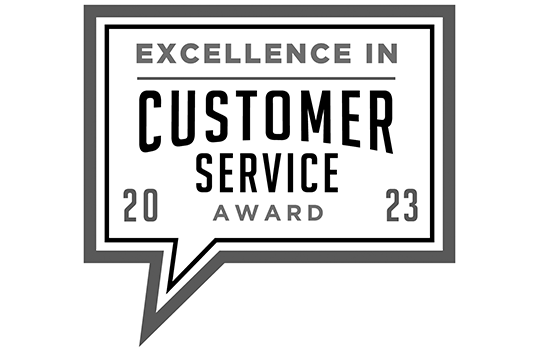 BIG Excellence in Customer Service Award 2023