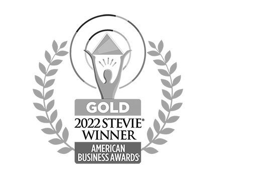 American Business Award 2022