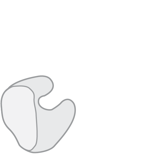 Swim earplugs