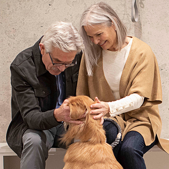 Man and woman petting a dog